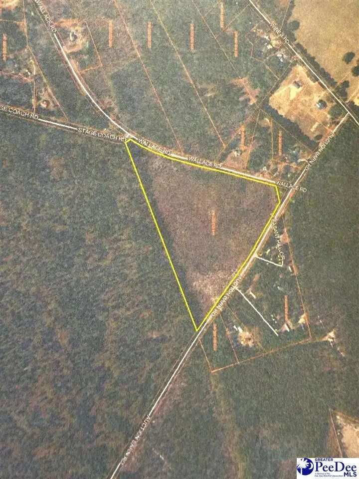 24 +/- Tract Auction Barn Rd, Cheraw, SC 29520 - #2