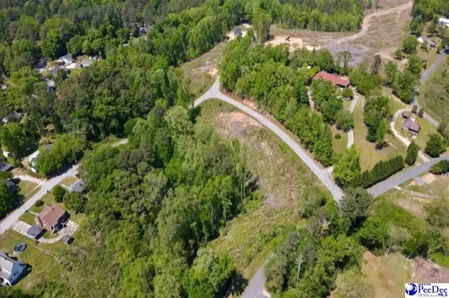 Lot C & D Trotti Ave, Chesterfield, SC 29709 - #2