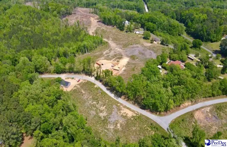 Lot A Green St, Chesterfield, SC 29709 - #2