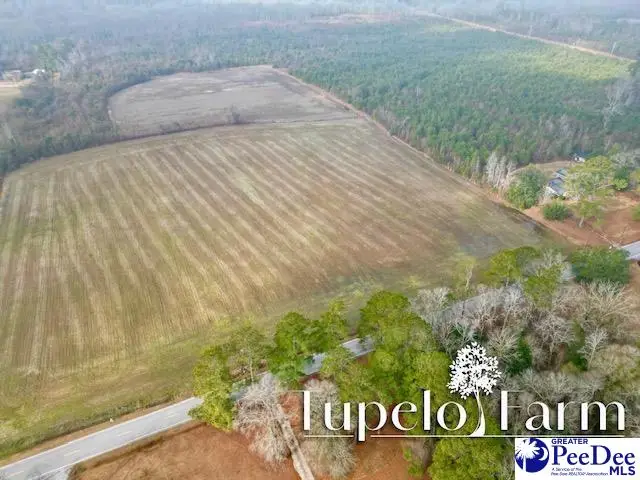 TBD W Lynhurst Rd, Lot 7, Pamplico, SC 29583 - #2