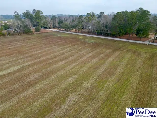 TBD W Lynhurst Rd, Lot 7, Pamplico, SC 29583 - #3
