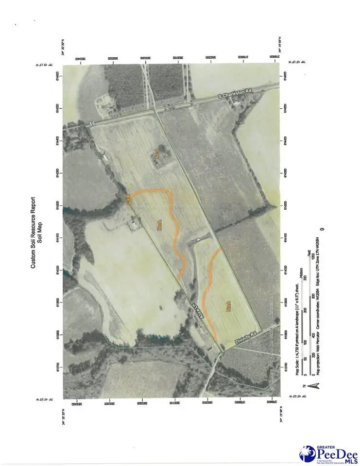 318 S Charleston Road, Darlington, SC 29532 - #2