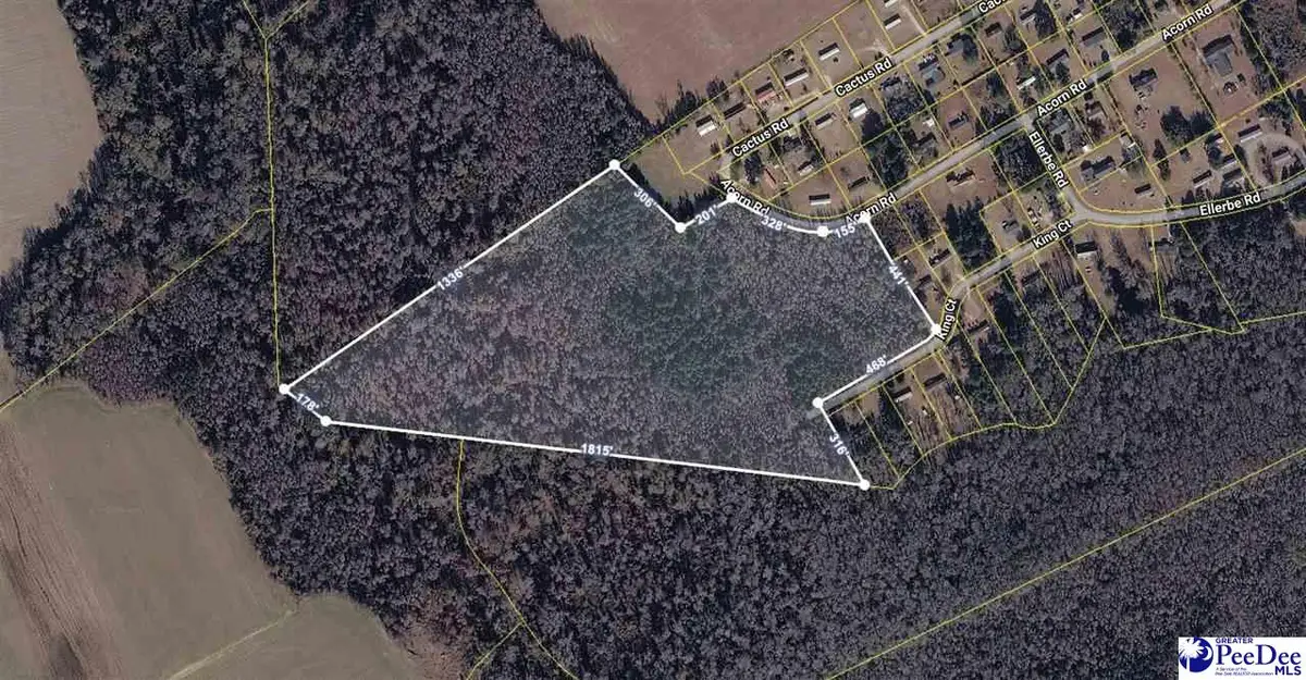 TBD Tbd, Marion, SC 29571 - #1