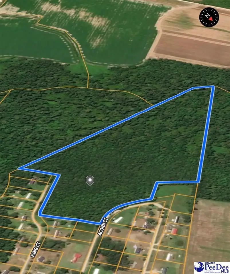 TBD Tbd, Marion, SC 29571 - #2