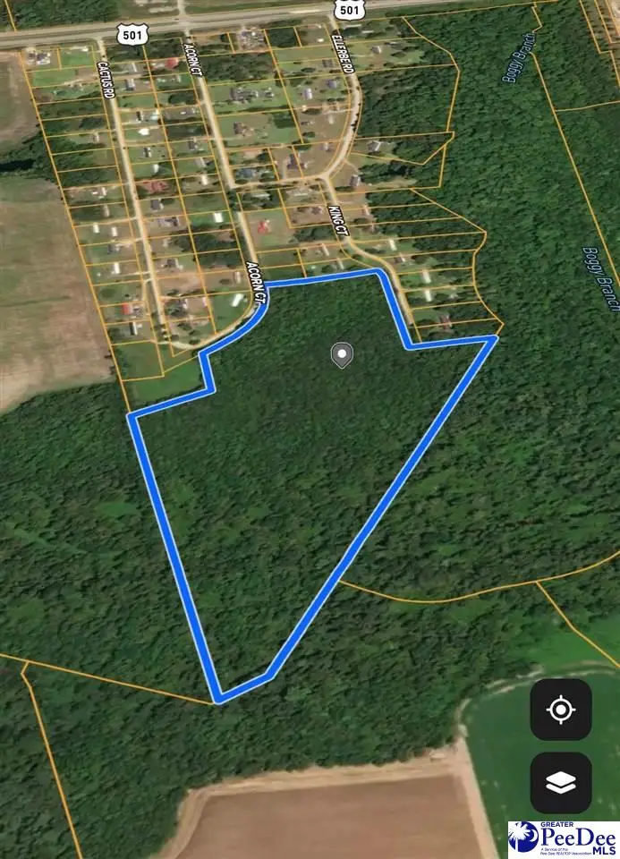 TBD Tbd, Marion, SC 29571 - #3