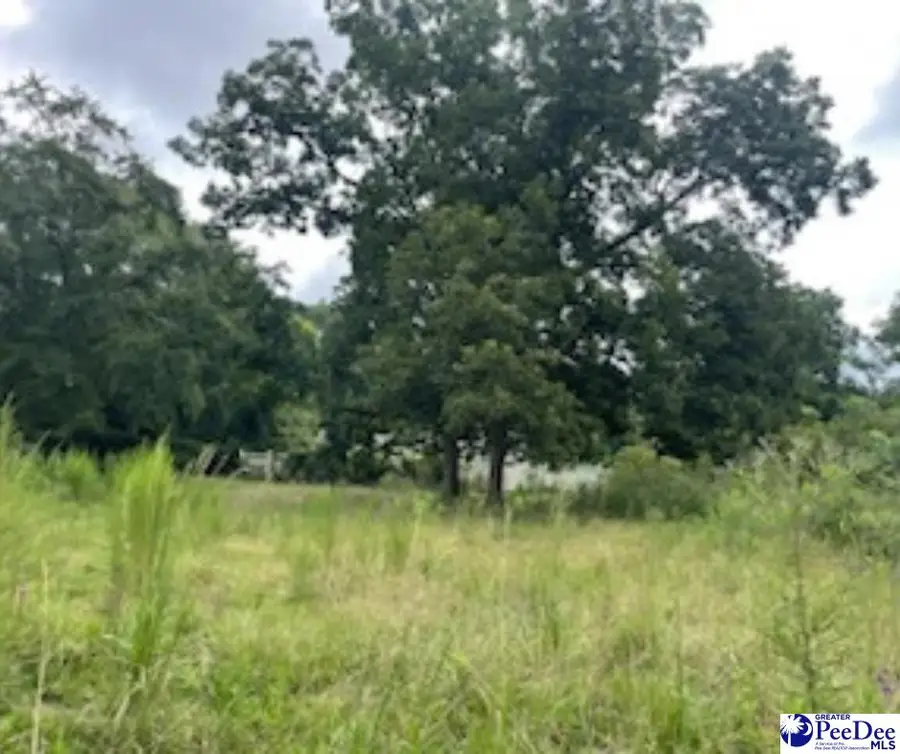 Lot B N Craig Street, Chesterfield, SC 29709 - #3