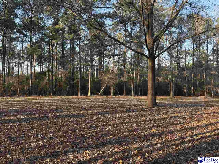 1325 Cubie Rd., Effingham, SC 29541 - #2