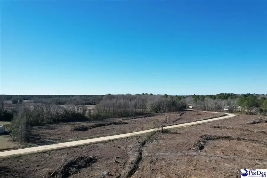 TBD Trade Street, Cheraw, SC 29520 - #2