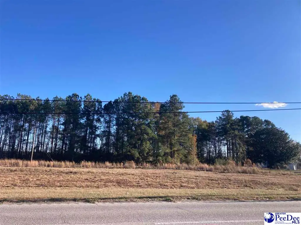 2630 S Highway 301, Dillon, SC 29536 - #1