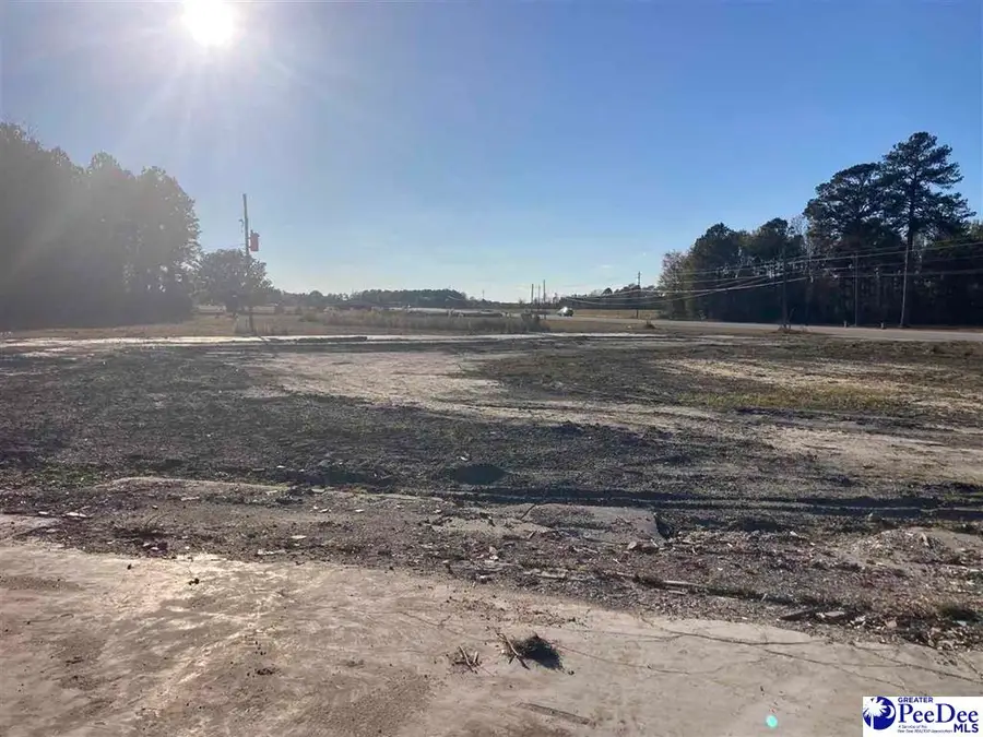 2630 S Highway 301, Dillon, SC 29536 - #2