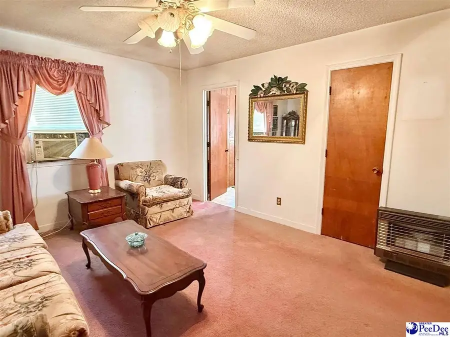 246 E Shirley Road, Pamplico, SC 29583 - #2