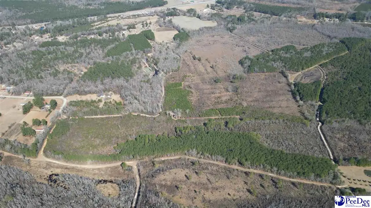 TBD Peacock Rd, Marion, SC 29571 - #1