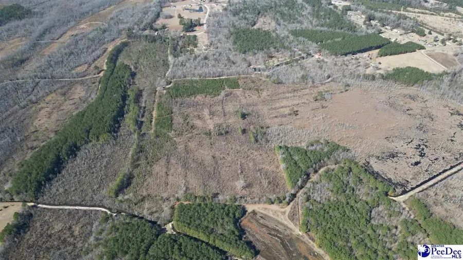 TBD Peacock Rd, Marion, SC 29571 - #2