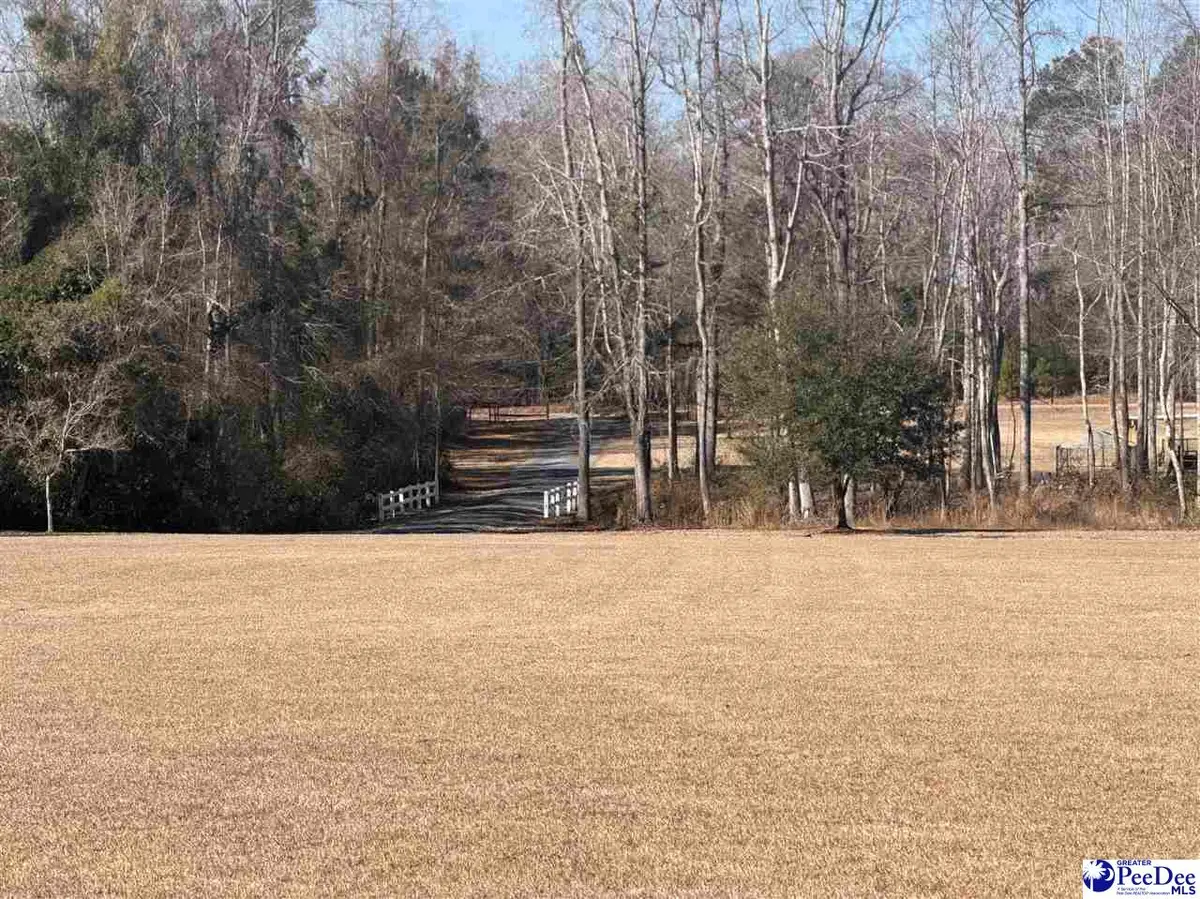 489 Whitney Lane, Johnsonville, SC 29555 - #1