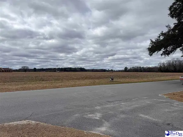 TBD S Eaddy Ford Rd, Johnsonville, SC 29555