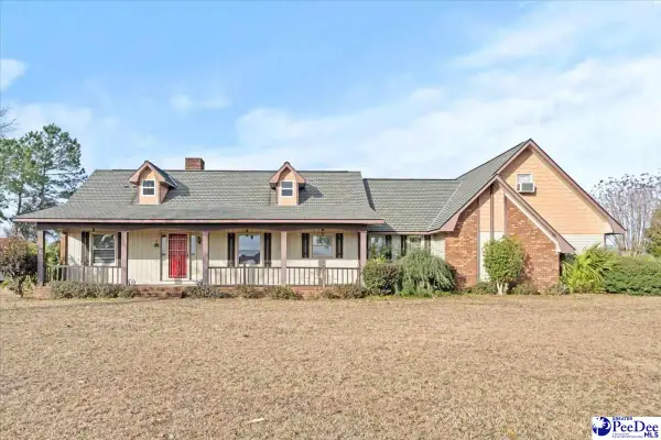 554 S Eaddy Ford Rd, Johnsonville, SC 29555