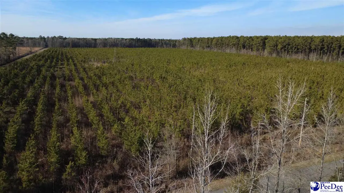 0 (TBD) Bay Catfish Rd., Latta, SC 29565 - #1