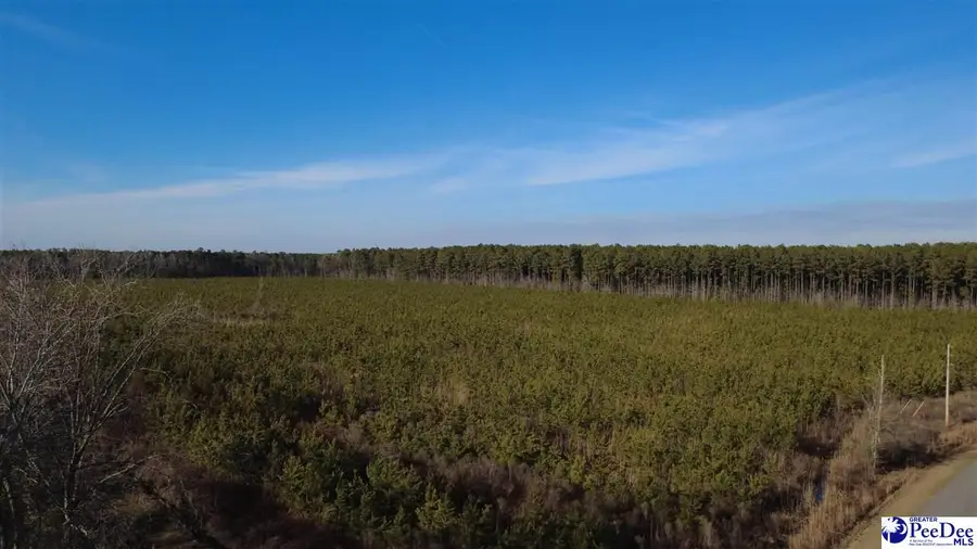 0 (TBD) Bay Catfish Rd., Latta, SC 29565 - #2