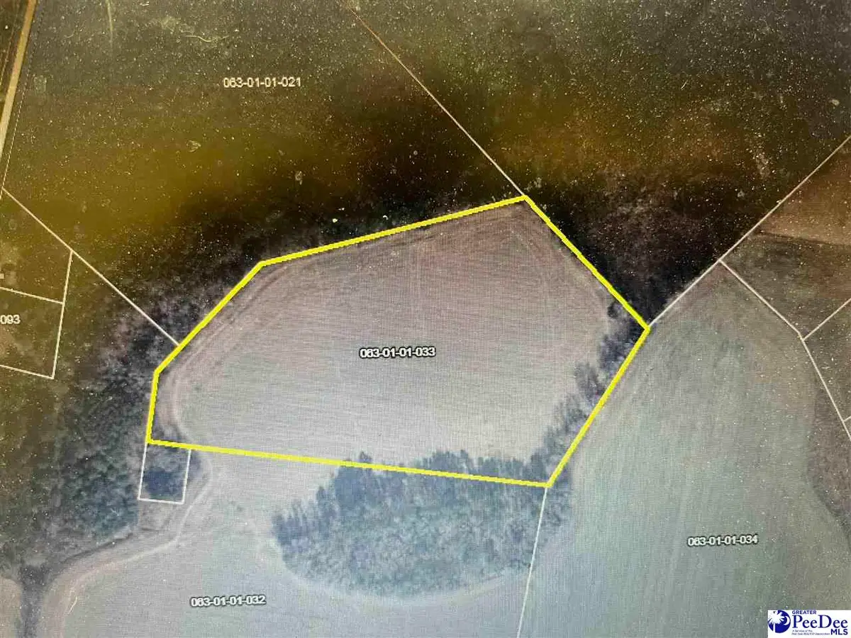 Wolftrap Lane, Blenheim, SC 29516 - #1