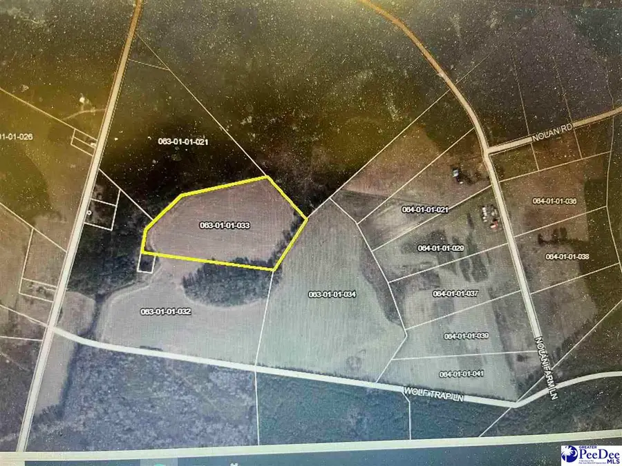 Wolftrap Lane, Blenheim, SC 29516 - #2