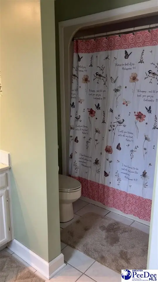 1459 S Hwy 341, Lynchburg, SC 29080 - #3