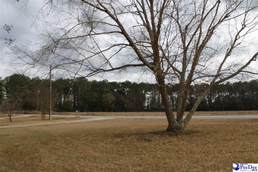 1340 Sunset Dr., Darlington, SC 29532 - #3