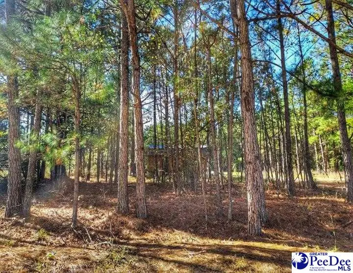 Lot 8 Zachary Court, Latta, SC 29565 - #3