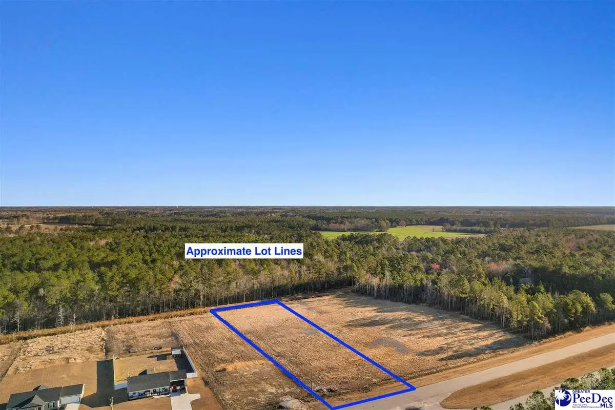 TBD Hwy 9, Loris, SC 29569 - #1