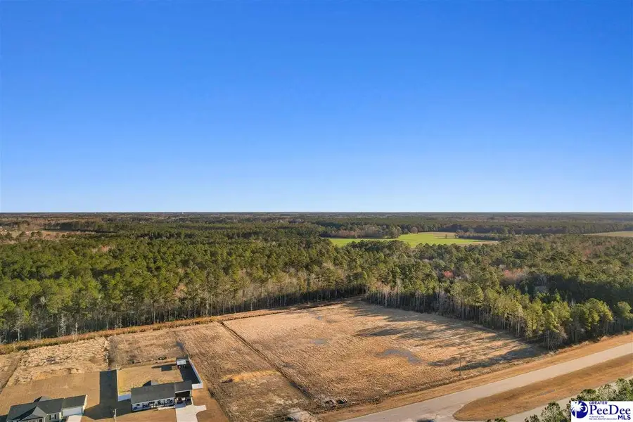 TBD Hwy 9, Loris, SC 29569 - #2