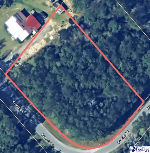 713 Branch Rd, Timmonsville, SC 29161