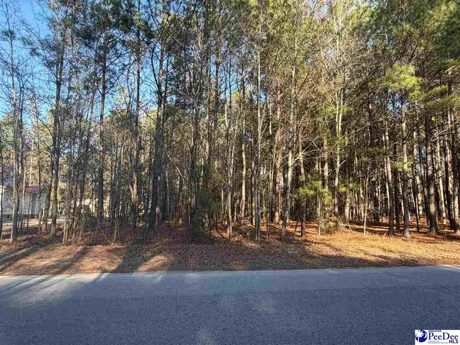 713 Branch Rd, Timmonsville, SC 29161 - #2