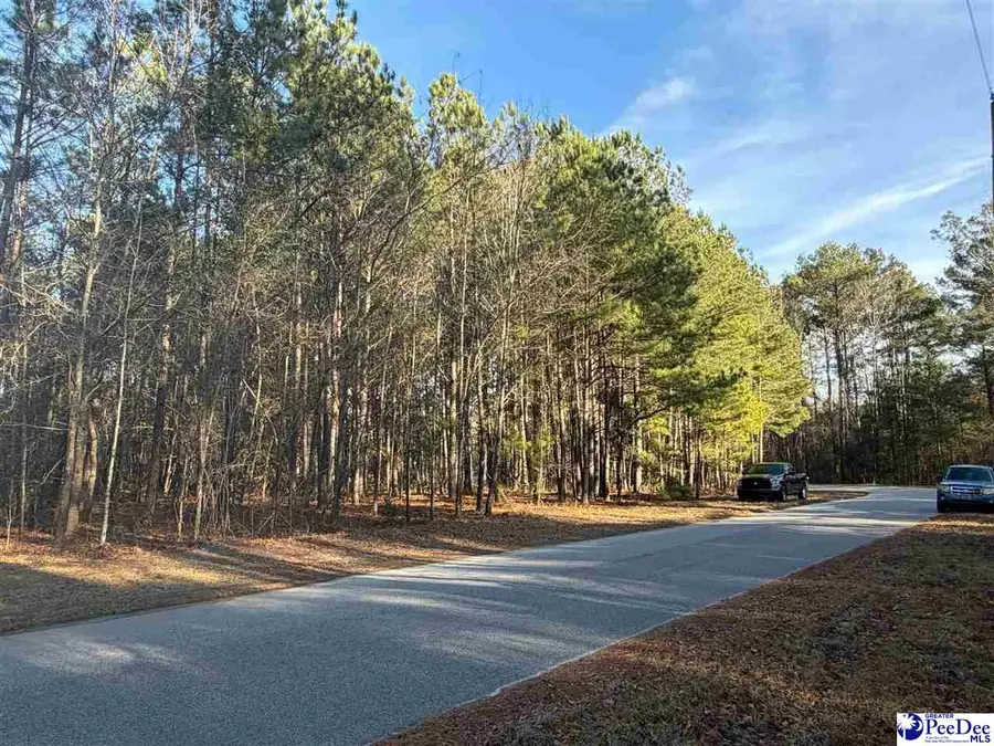 713 Branch Rd, Timmonsville, SC 29161 - #3