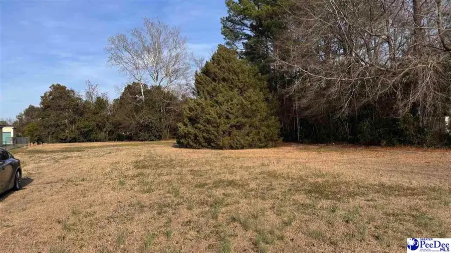 904 N Main Street, Darlington, SC 29532 - #2