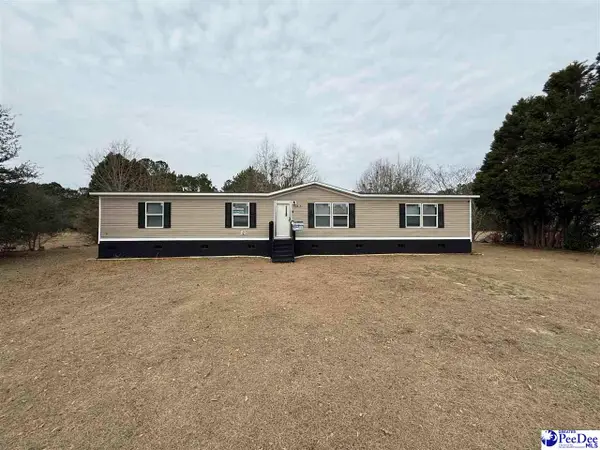 3875 Carolyn Ln, Johnsonville, SC 29555