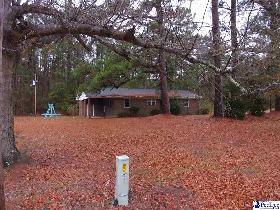 4204 Martin Luther King Jr. Highway, Salters, SC 29590 - #3