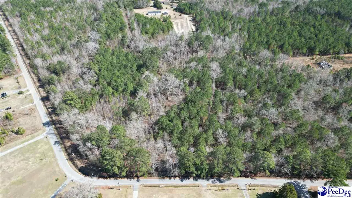 6.75 Acres Silver Leaf Rd, Florence, SC 29505 - #1