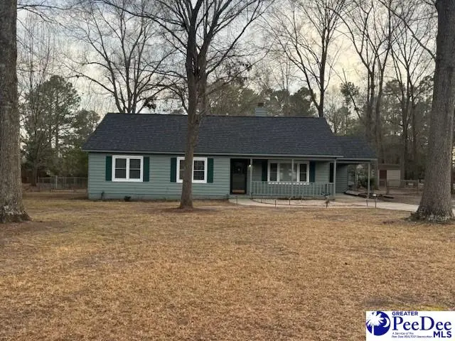 14 Meeting St, Cheraw, SC 29520 - #3