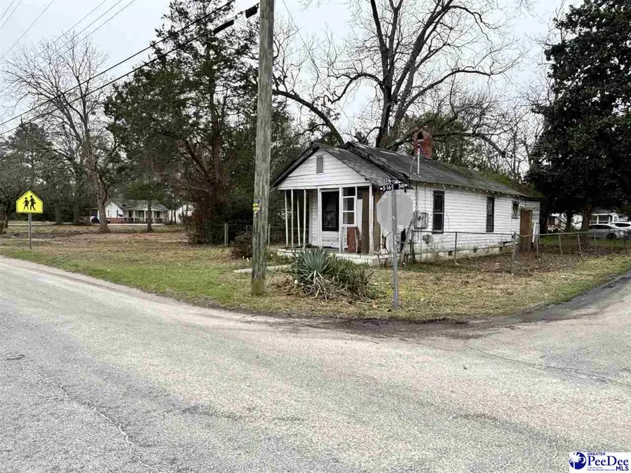 200 Southern Pine St, Darlington, SC 29532 - #2