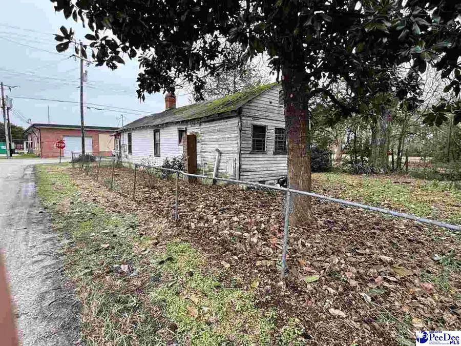 200 Southern Pine St, Darlington, SC 29532 - #3