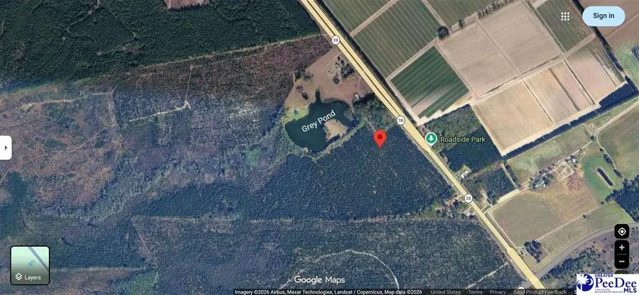 Highway 38 South, Blenheim, SC 29516 - #3