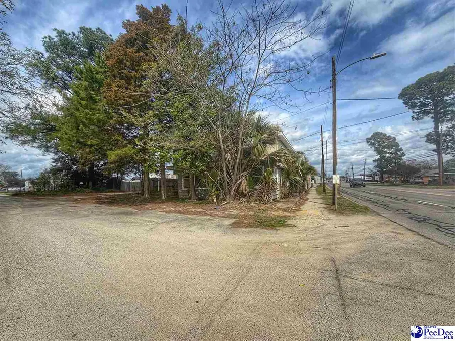 608 & 610 Highway 301 South, Dillon, SC 29536 - #2