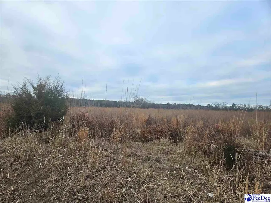 TBD Sunset Drive, Latta, SC 29565 - #2