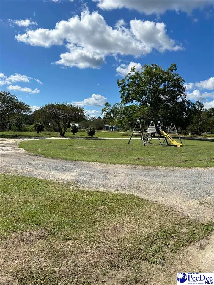 298 Planters Drive, Kingstree, SC 29556 - #2