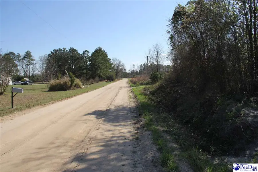 TBD Country Manor Rd, Lamar, SC 29069 - #2