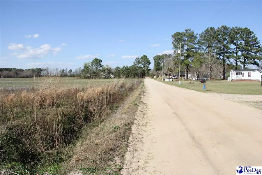 TBD Country Manor Rd, Lamar, SC 29069 - #3