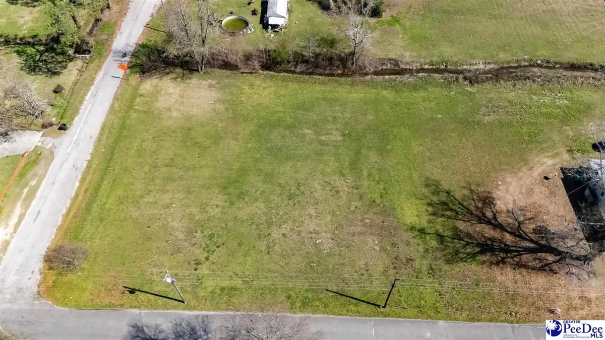 205 S Kemper Street, Lake View, SC 29563 - #1