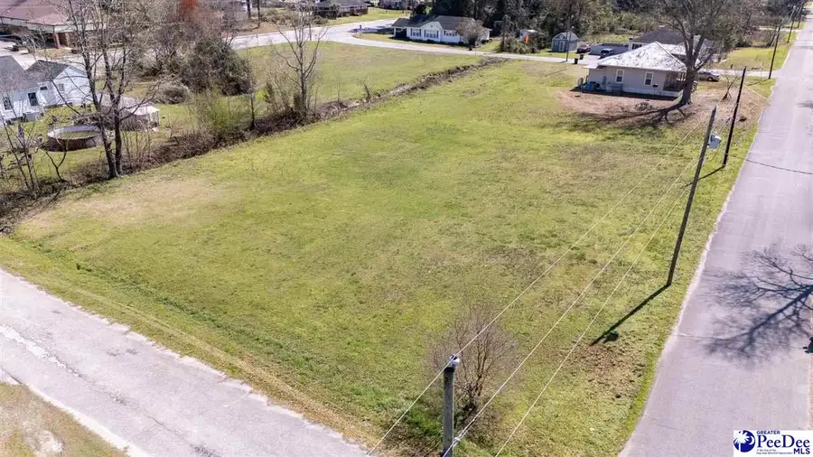 205 S Kemper Street, Lake View, SC 29563 - #3