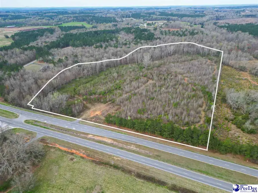 4338 Hwy 151, Pageland, SC 29728 - #2