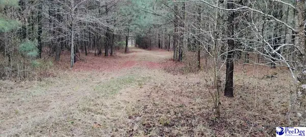 5103 Wheeler, Coward, SC 29530