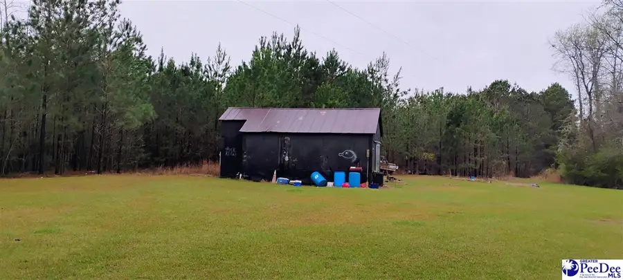 5103 Wheeler, Coward, SC 29530 - #2